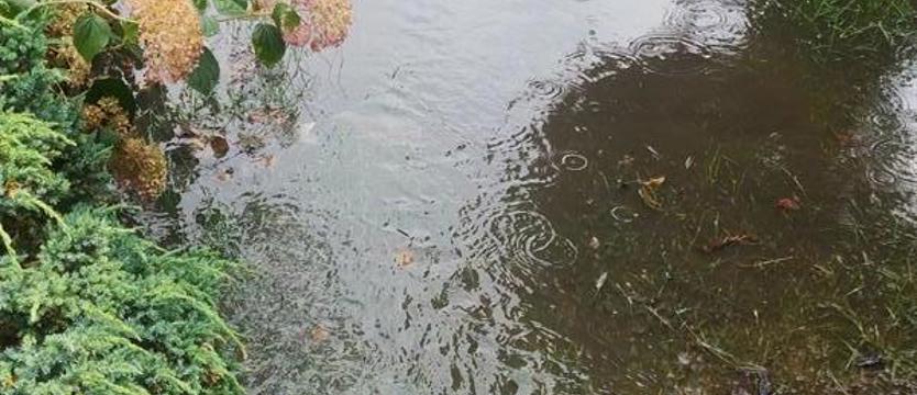 W Dobrej zalewa. W reakcji na artykuł