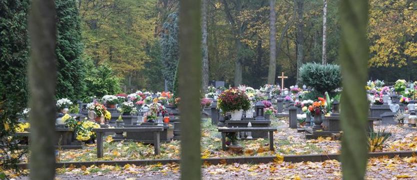 Socjolog o Wszystkich Świętych: tradycja przetrwa pandemię