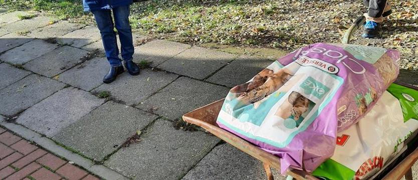 Pomoc w potrzebie - dla kotów przed zimą
