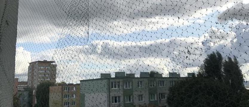 Horror przy ul. Komuny Paryskiej
