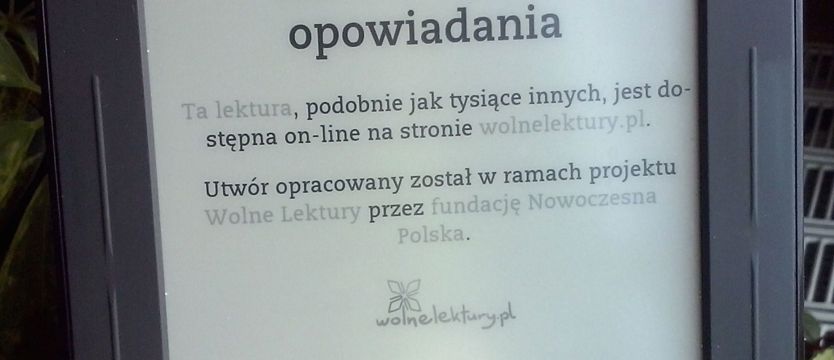 Elektroniczna marynistyka