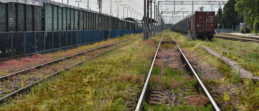 Zachodniopomorskie: kolejny incydent nieuprawnionego użycia sygnału radio-stop na kolei