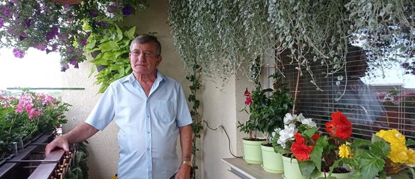 Pelargoniowo-surfiniowy gaj