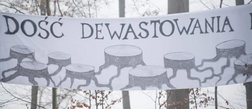 Finał protestu w Puszczy Bukowej