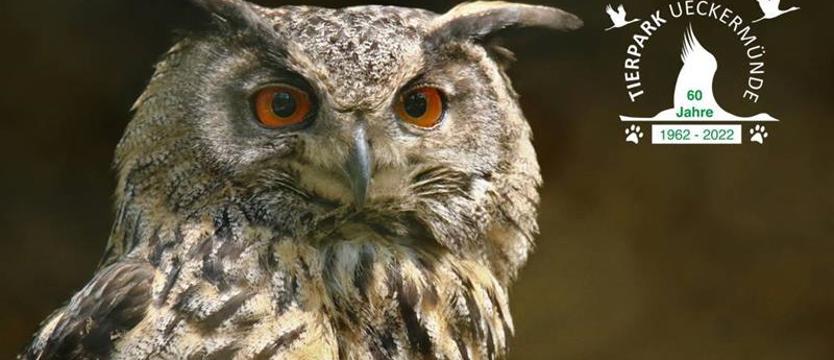Sześćdziesiąte urodziny Ogrodu Zoologicznego w Ueckermünde. Wygraj wejściówki dla całej rodziny!