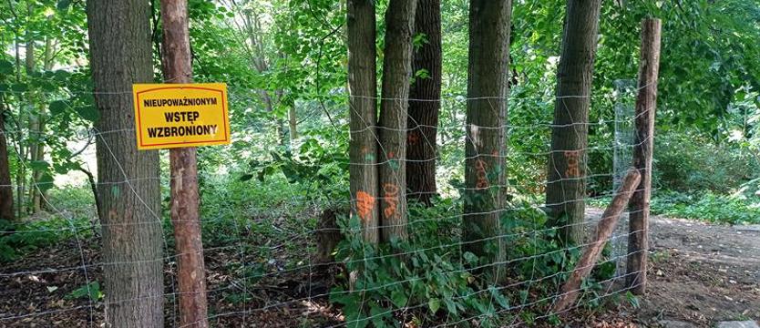 Skarga na prezydenta. „Przygodna” – szczecinianie nie składają broni