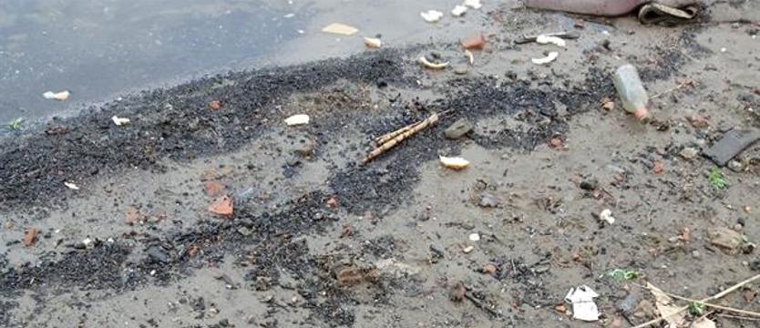 Niepokojący stan plaży przy ulicy Grobla. Nabrzeże Odry jak wysypisko śmieci