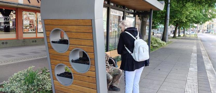 Śmieci zamiast kwiatów. Nie całkiem zielone wiaty przystankowe