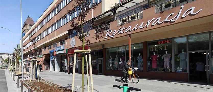 Drzewa z placu. Akcja zazieleniania pl. Zwycięstwa