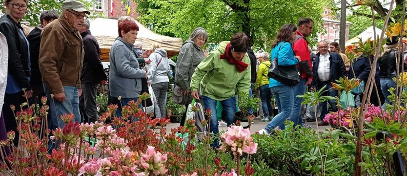 Wały Chrobrego oblężone. Kiermasze - ogrodniczy i jadła regionalnego - przyciągają tłumy