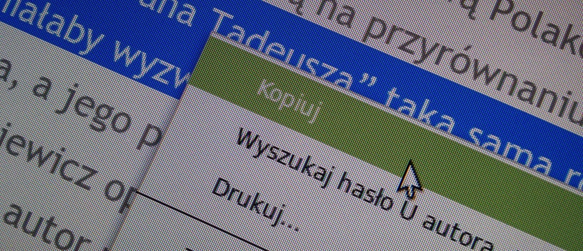 W Kurierze: Nagana za plagiat