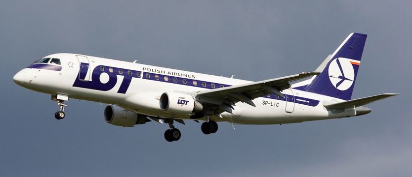 Larwy motyla unieruchomiły samolot