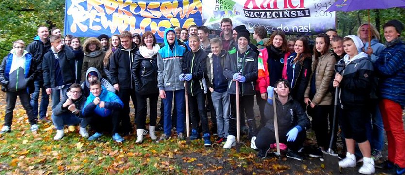 Krokusy: raz, dwa, trzy