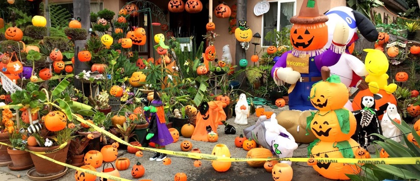 Przygotowania do Halloween