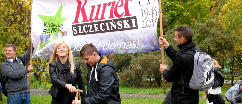 Krokusy, czyli energia na lepszy świat (galeria)