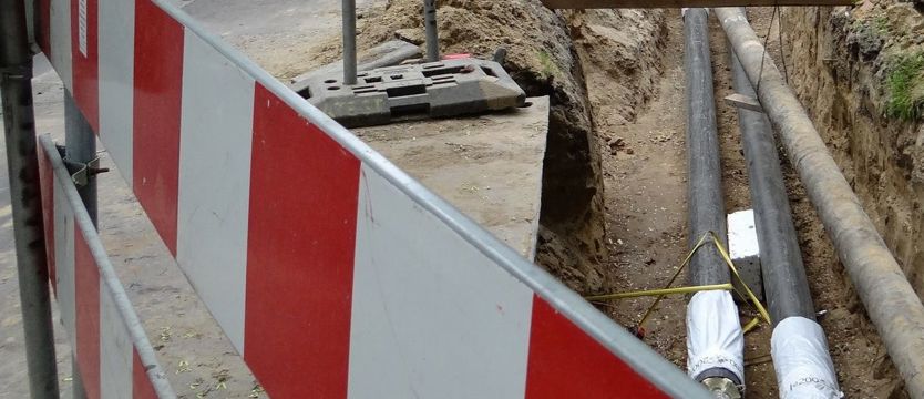 Batalionów Chłopskich częściowo zamknięta