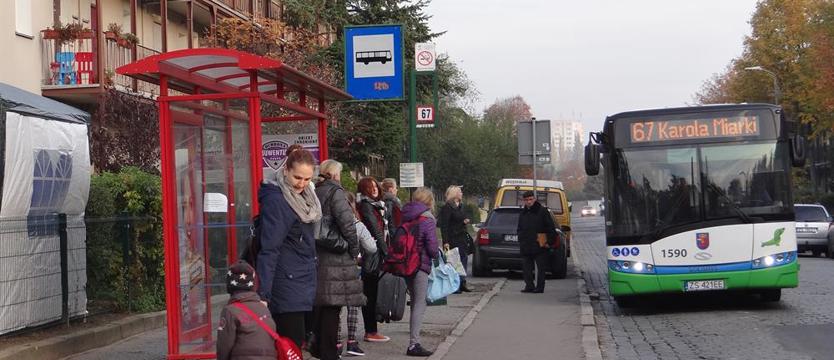 Dodatkowe linie i kursy