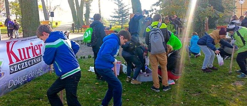 Krokusowe pospolite ruszenie w Dziwnowie (Galeria)