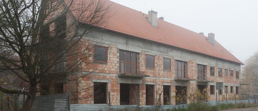 Wilk syty i owca cała