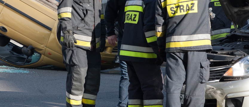 Pasy trzymają przy życiu