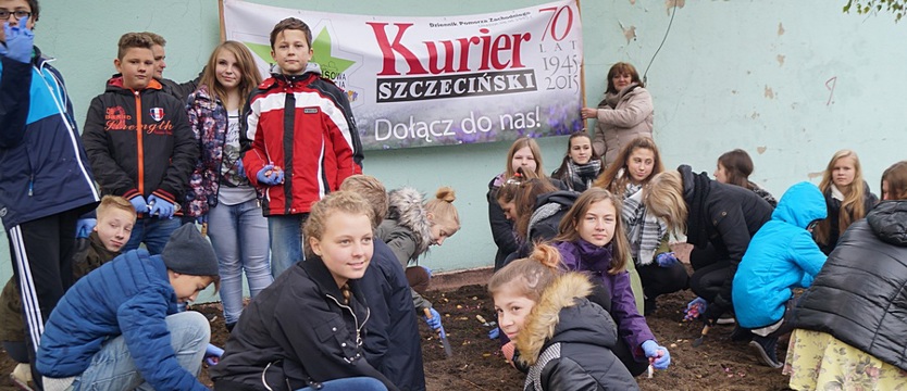 Krokusy: od Pomorzan po Podjuchy i przez weekend (Galeria)