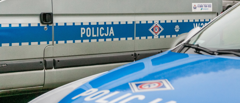 Dwa byki łapówki
