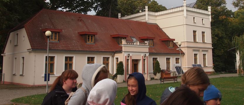 Wiatraki, żółwie i jadalne talerze