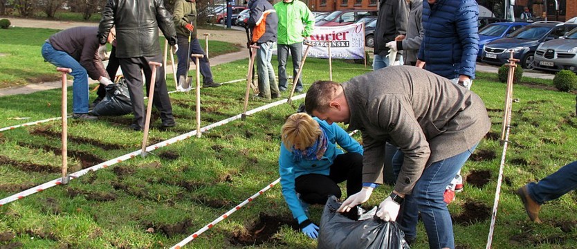 Krokusy dla pokoleń (Galeria)