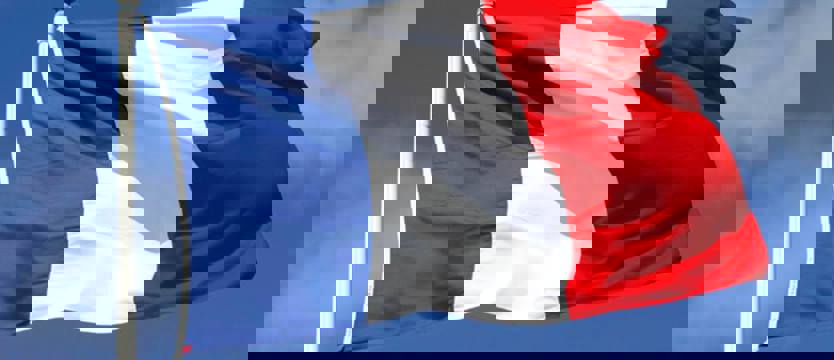 Polska solidarna z Francją