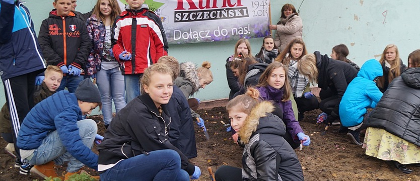 Krokusy: od Pomorzan po Podjuchy i przez weekend (Galeria)