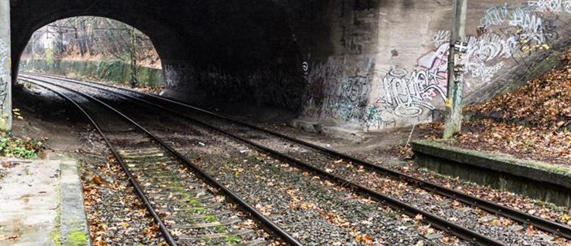 Spacerkiem na Pogodno i Głębokie?