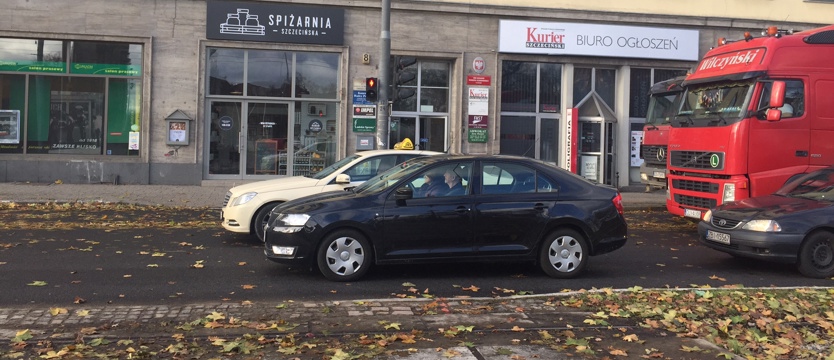 Piesi czekają na zebry