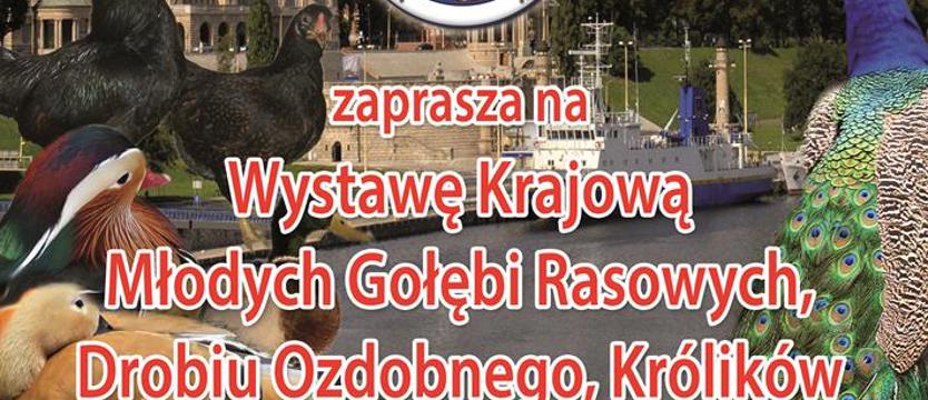 Weekend ze skrzydłami