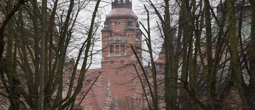 Wojewoda z rękojmią