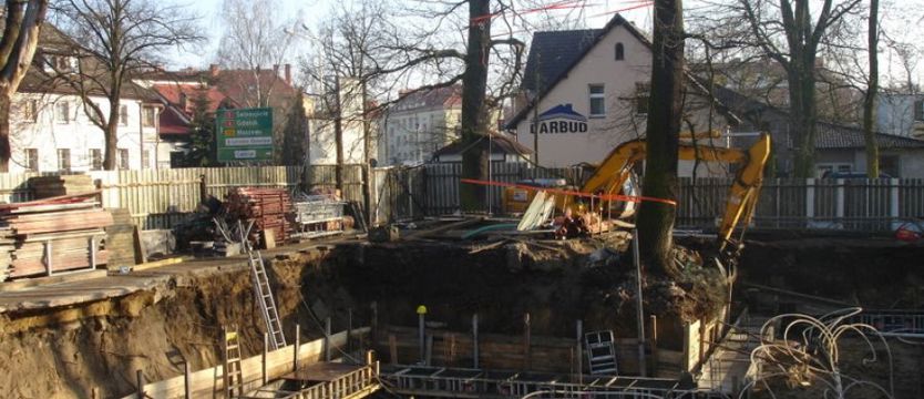 Zapłaci 362 tysiące za zniszczenie dębu
