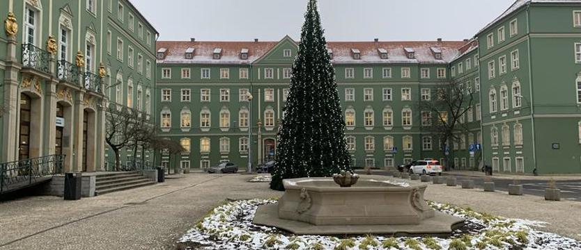 Magistrat przewidział nagrody. Tysiące dla szczecińskich urzędników
