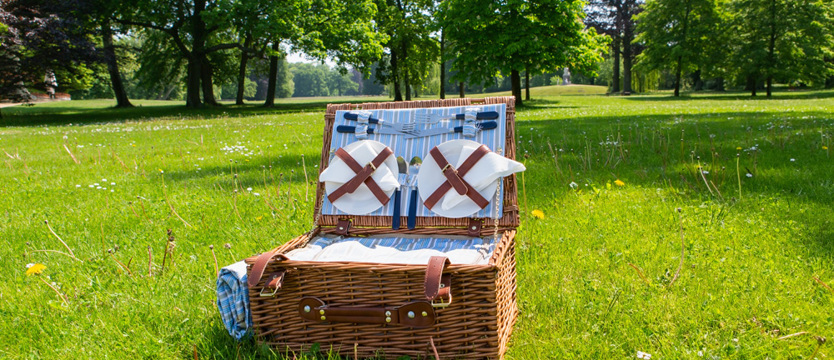 Piknik  w Brandenburgii