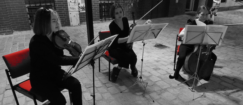 Wieczorny koncert smyczkowy