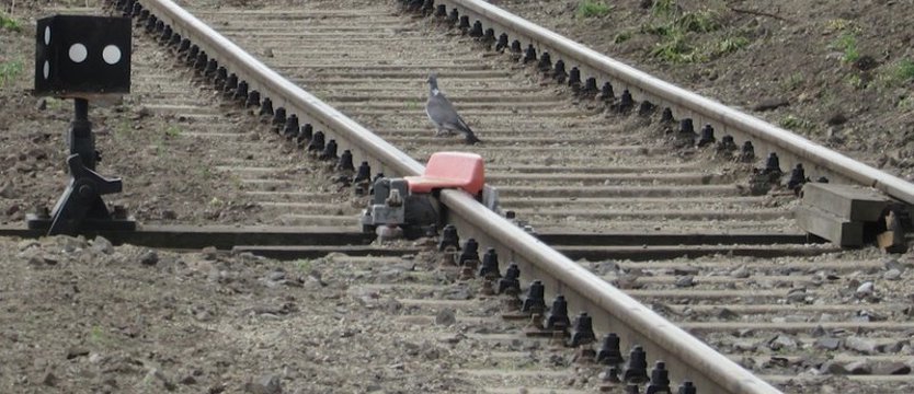 Sprawa dwóch dyżurnych ruchu kolejowego nadal w prokuraturze. Interweniował Prokurator Generalny