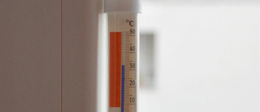 Nie zostawiajmy w pojazdach dzieci ani zwierząt nawet na chwilę!