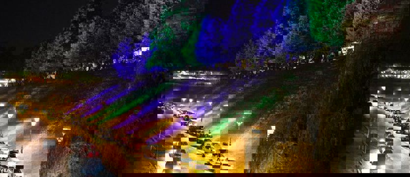 Iluminacje tu i ówdzie - drzewozaury w parku Żeromskiego