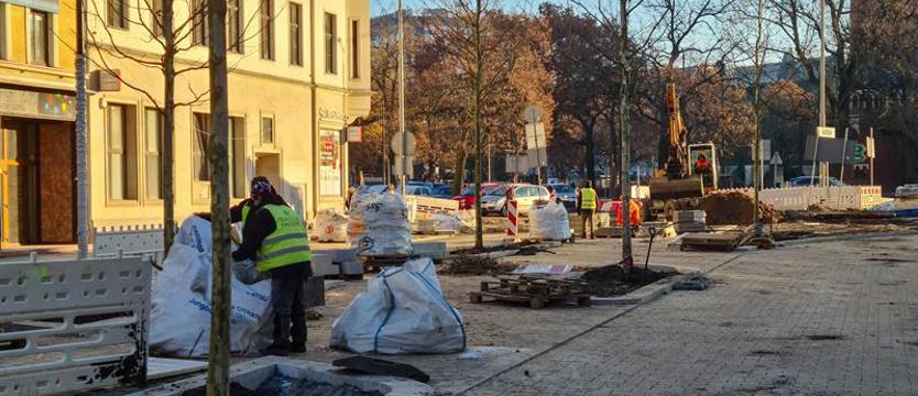 Posadzą, ale nie w siarczystym mrozie. Bez szkody dla zieleni?