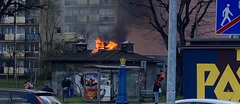Płonęły śmieci na Pomorzanach