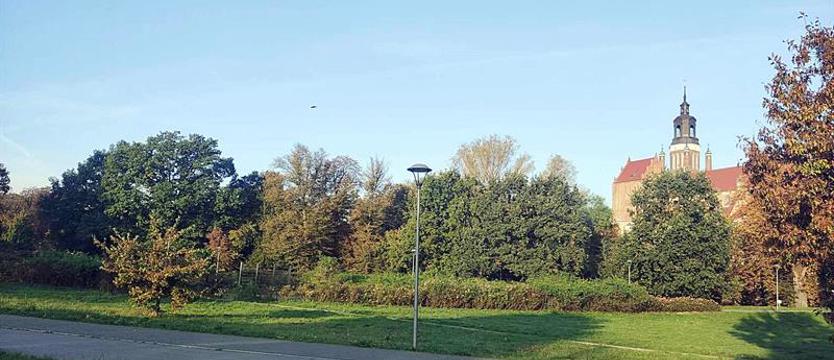 W Parku Jagiellońskim stanie napis STARGARD