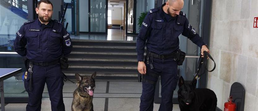 Wyjątkowe porozumienie w sali senatu ZUT. Psy łączą naukowców i policjantów