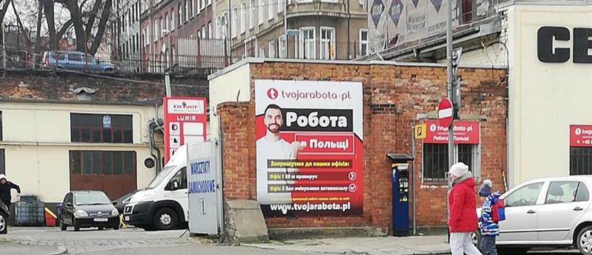 Praca czeka w mniejszych miastach. Szczecin i Koszalin mają coraz mniej ofert dla Ukraińców
