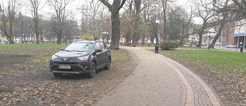 Co dalej z autami w parkach? Radni zastanawiają się, co zrobić