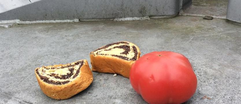 Sklep socjalny w Szczecinie?