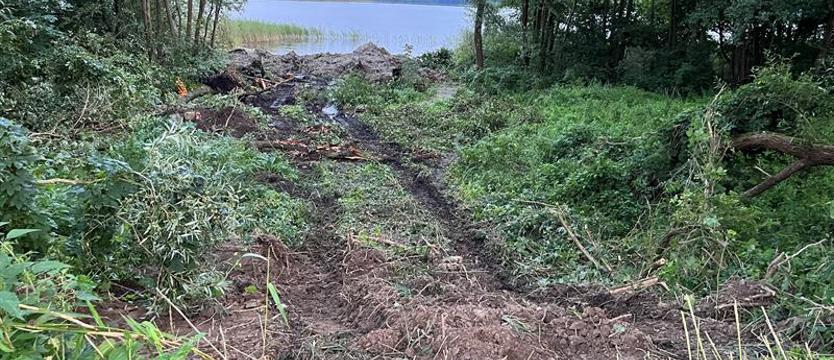 Nielegalna wycinka nad jeziorem Woświn. Sprawę wyjaśniają policja i prokuratura