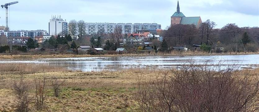 Podtopienia w powiecie kołobrzeskim. Woda nie ma gdzie odpływać?